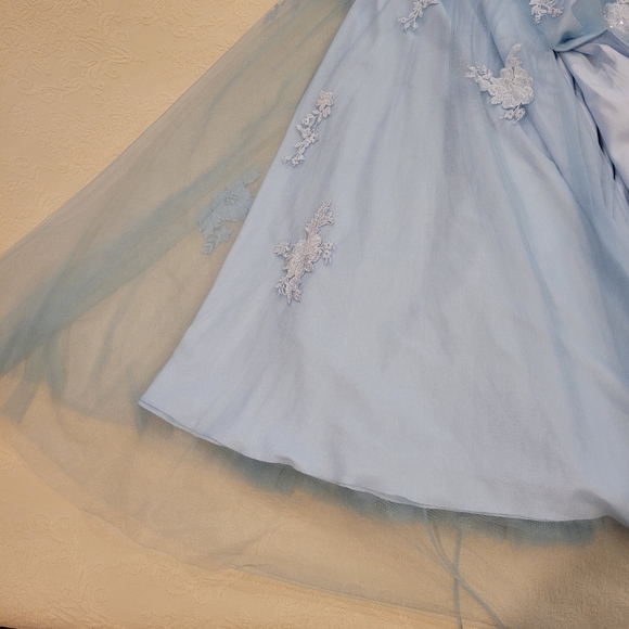 Prom or Homecoming Dress - Picture 15 of 16